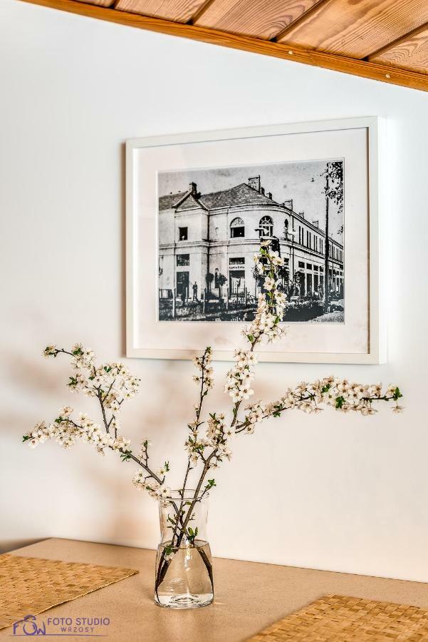 Apartamenty Zdrojowa Ciechocinek Exteriör bild